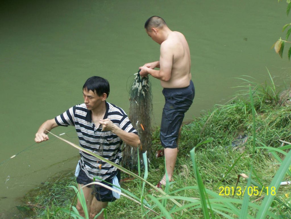 100_9437.JPG