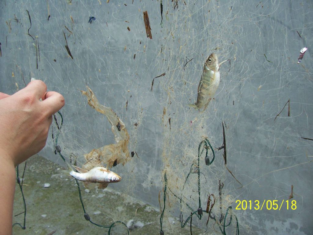 100_9443.JPG