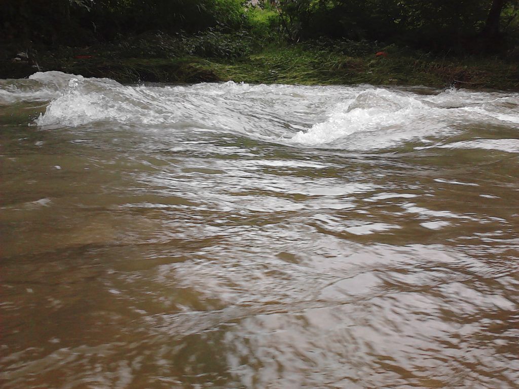IMG02551.jpg