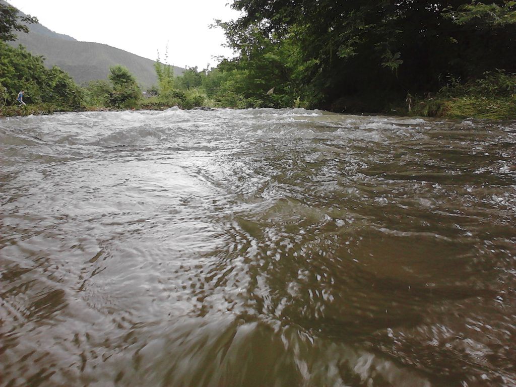IMG02550.jpg