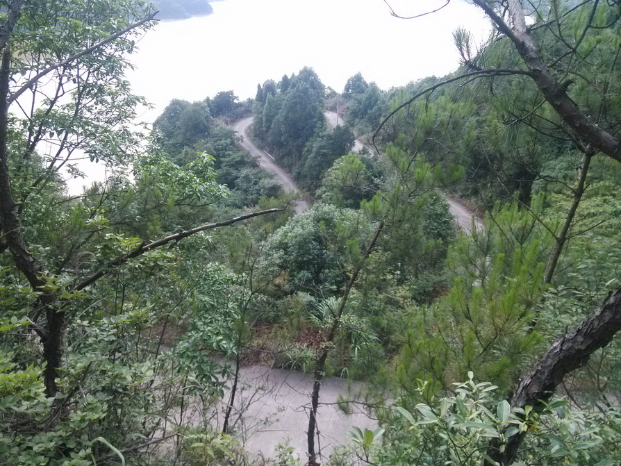IMG_20130523_160529.JPG