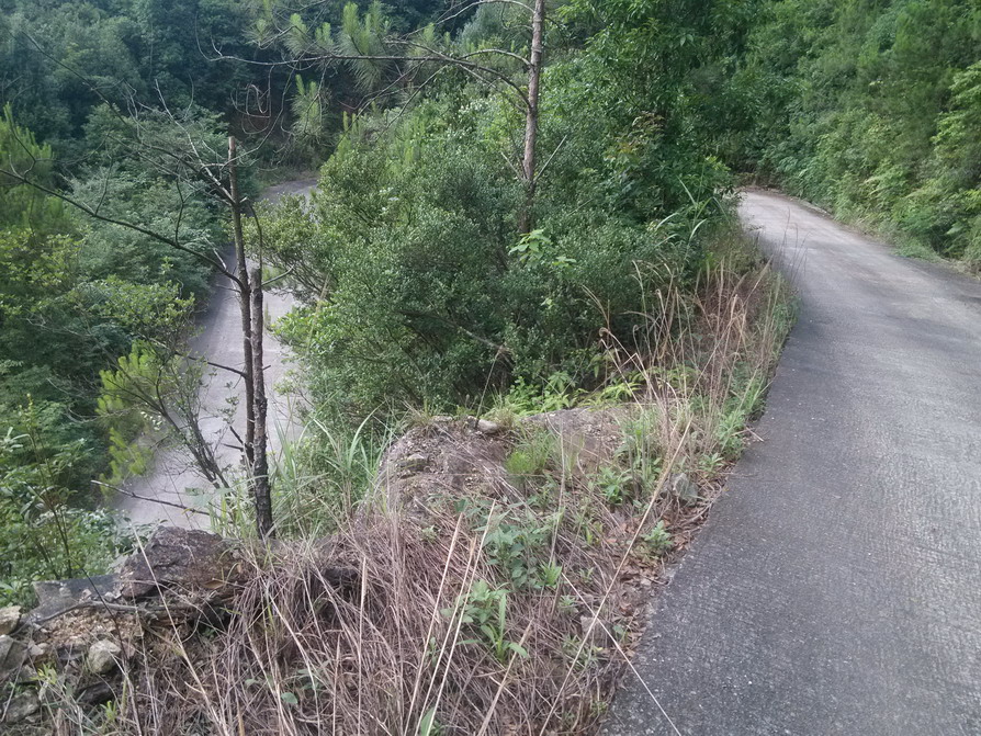 IMG_20130523_160614.JPG