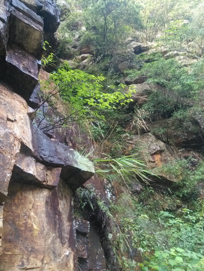 IMG_20130523_161742.JPG