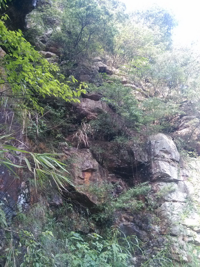 IMG_20130523_161806.JPG