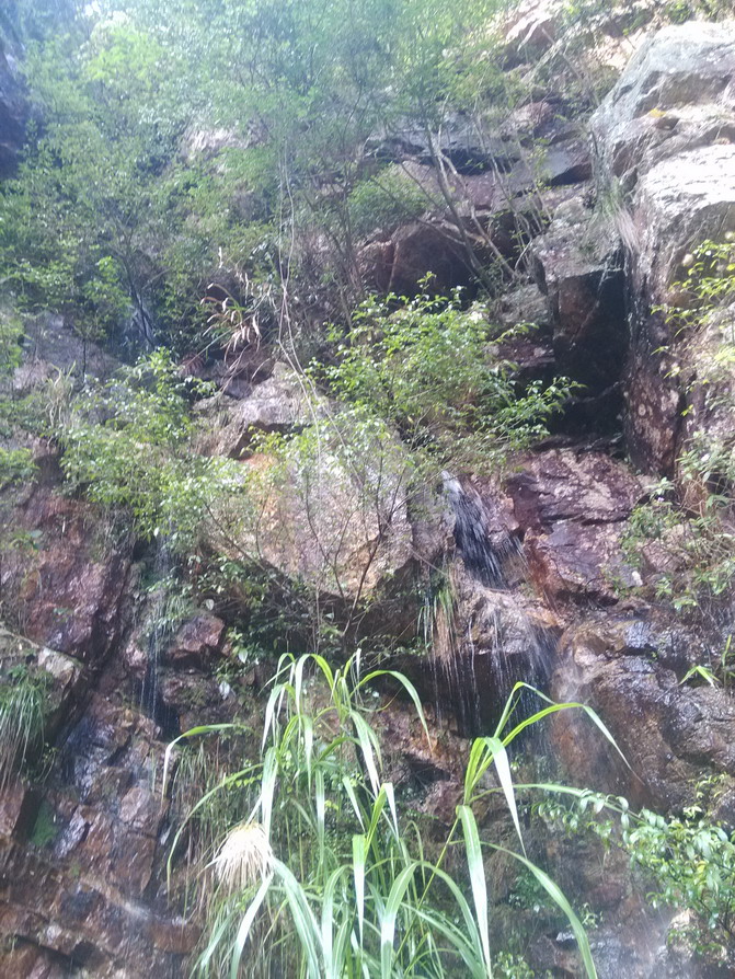 IMG_20130523_161844.JPG