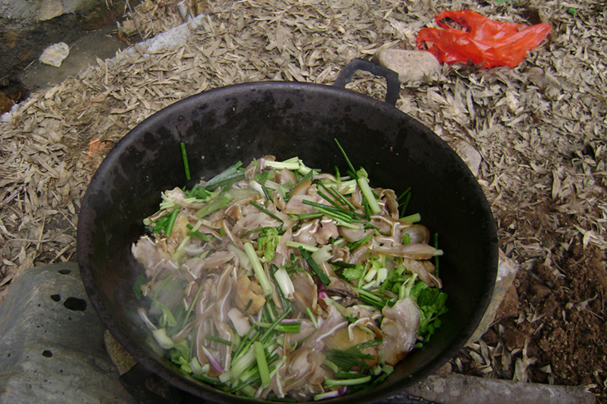 DSC09686_.jpg