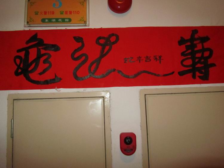 鷨.jpg