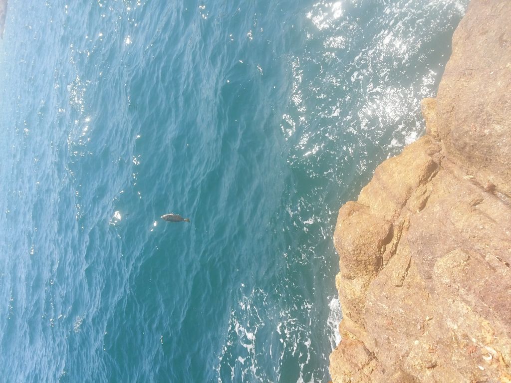20130602_142554.jpg