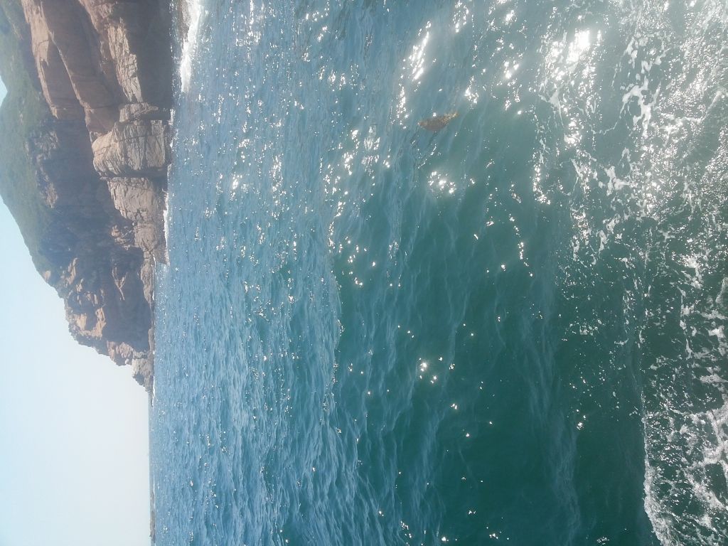 20130602_142557.jpg
