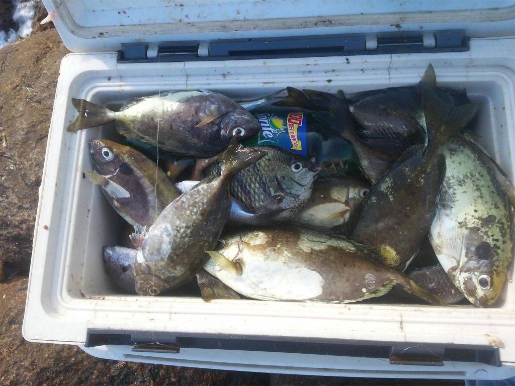 20130602_164254.jpg