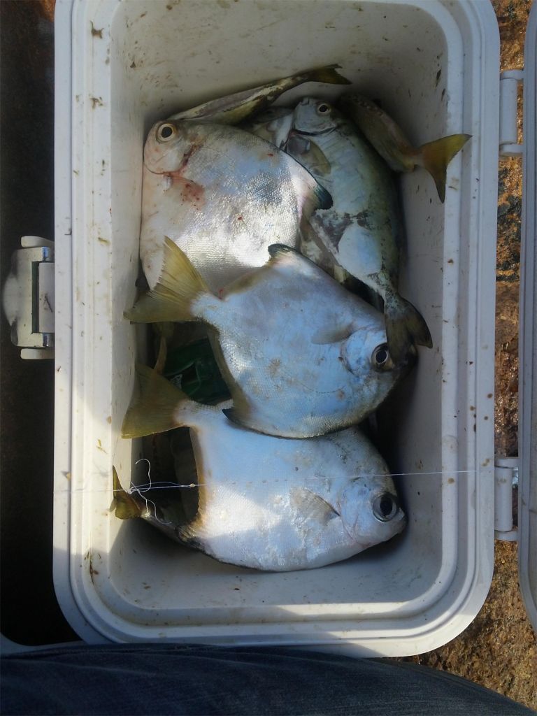 20130602_165017.jpg