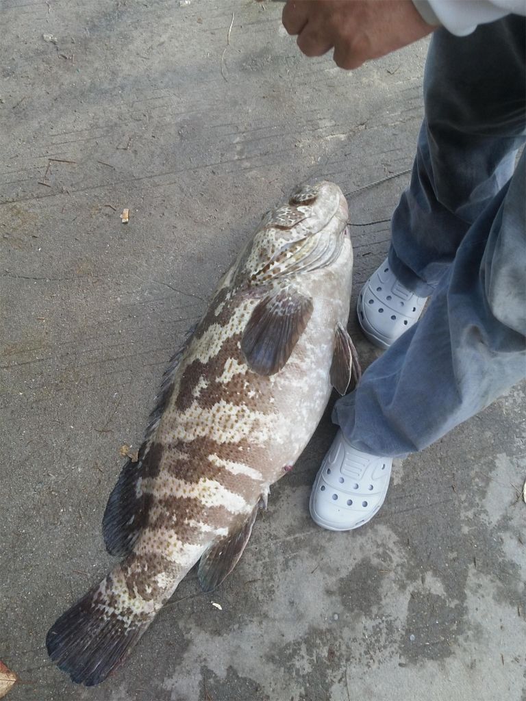 20130602_171857.jpg