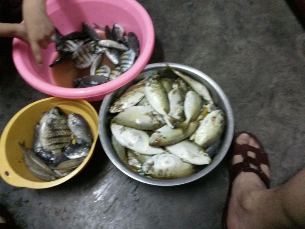 20130602_191529.jpg