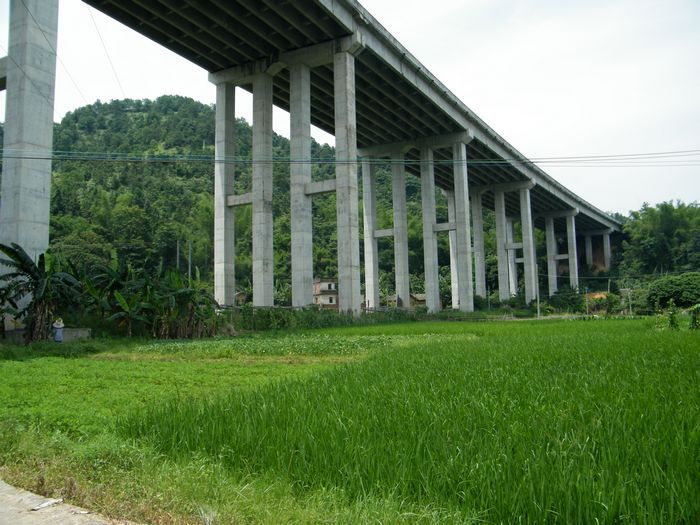 DSCF5300.JPG