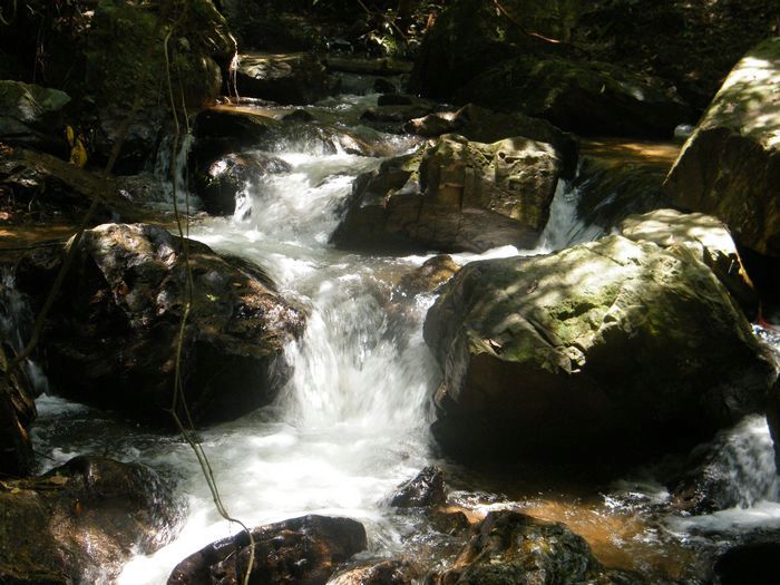 DSCF5414.JPG