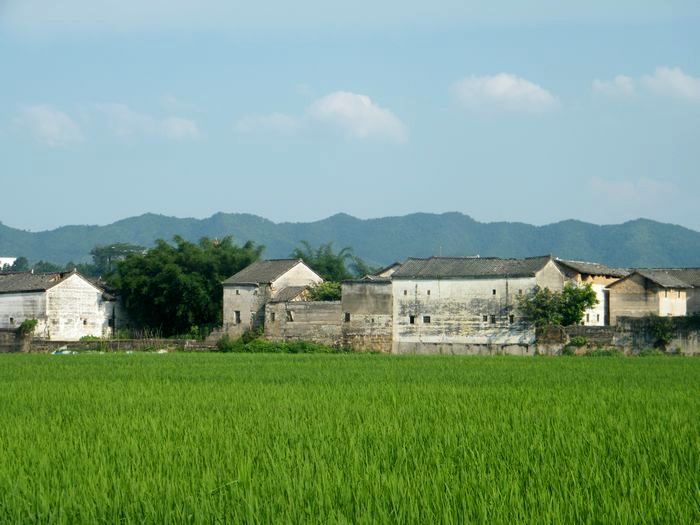 DSCF5037.JPG