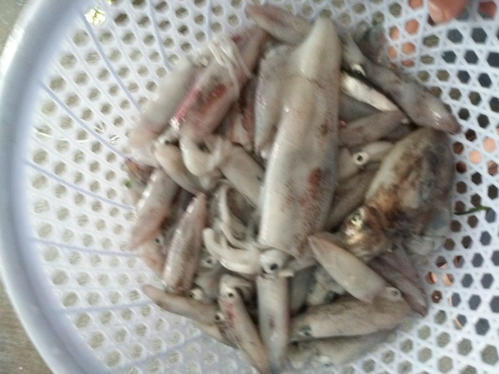 20130607_105502_1.jpg