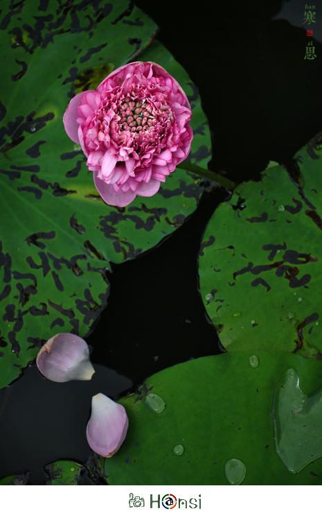 DSC_0643-sc.jpg