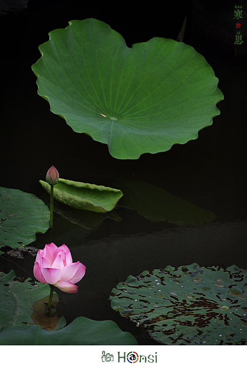 DSC_0657-sc.jpg