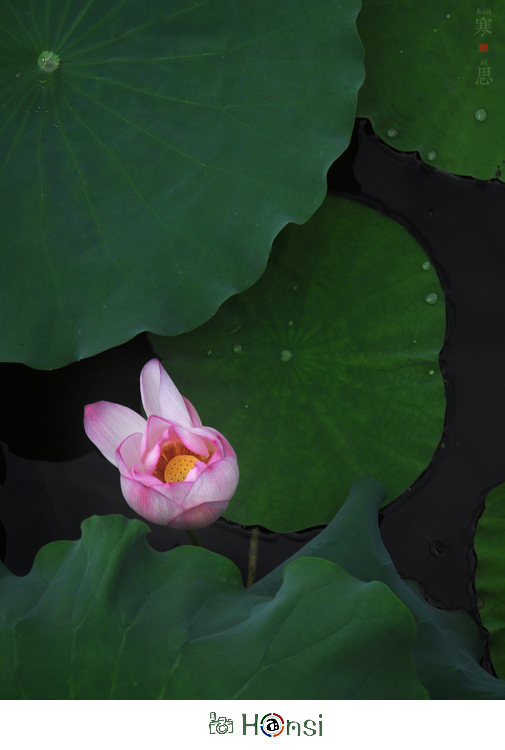 DSC_0616---sc.jpg