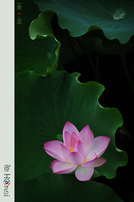 DSC_0508-ӣ.jpg