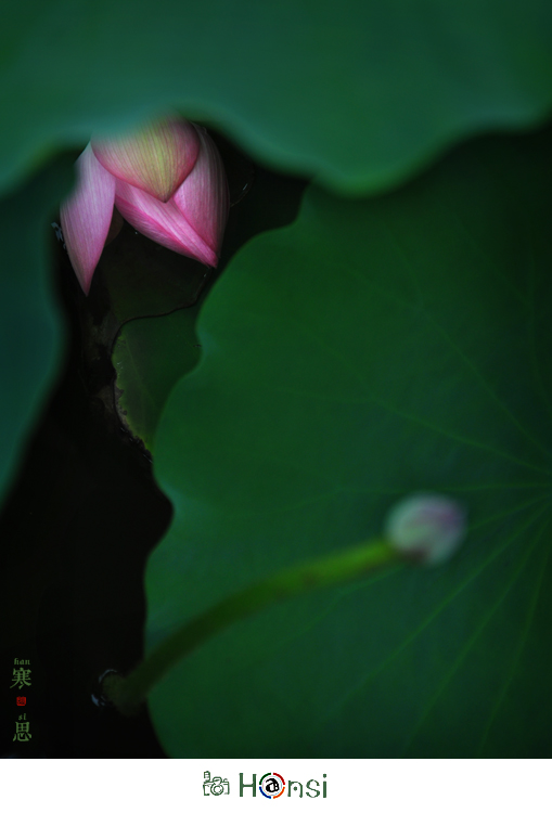 DSC_0556-sc.jpg