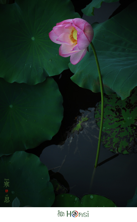DSC_0501-sc.jpg