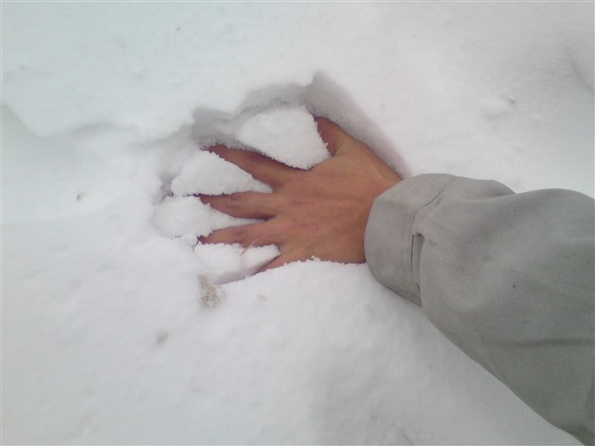 82C~C%C`H[X4(%Q~U1J8ZE7.jpg