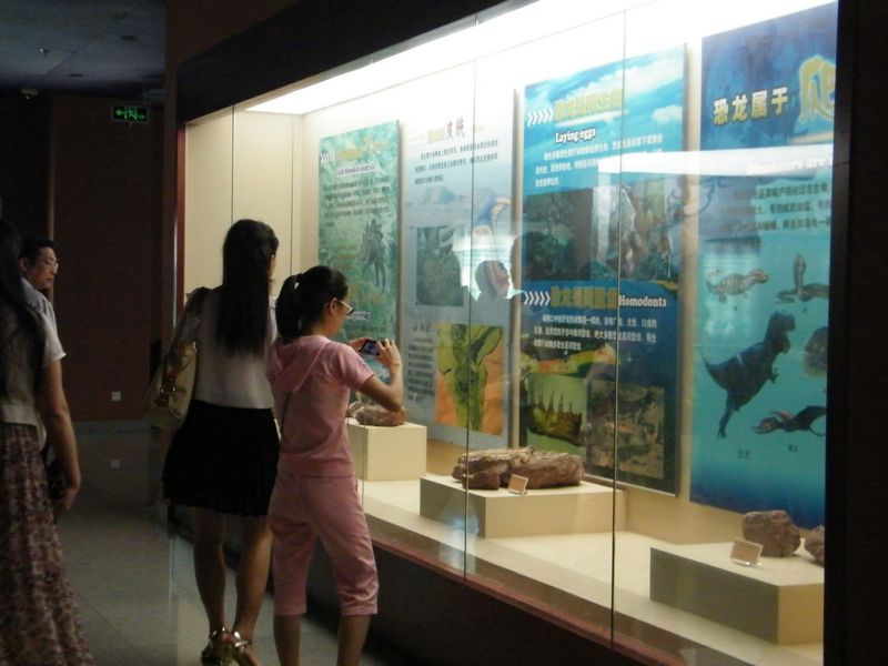 DSCF3173.JPG