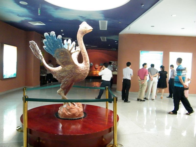 DSCF3179.JPG