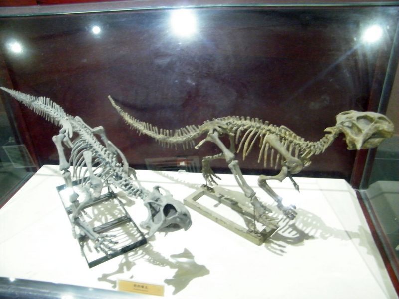 DSCF3186.JPG
