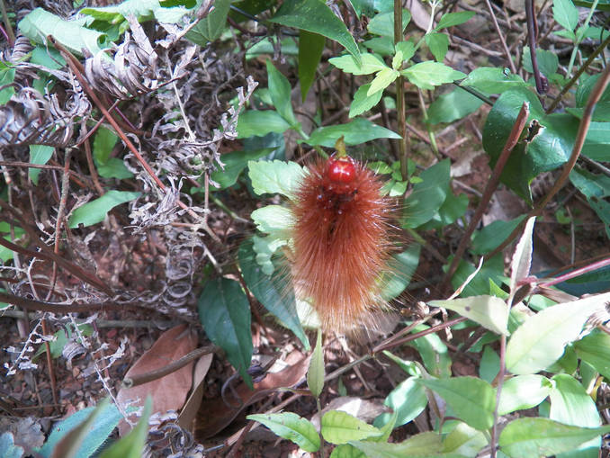 100_1653.JPG