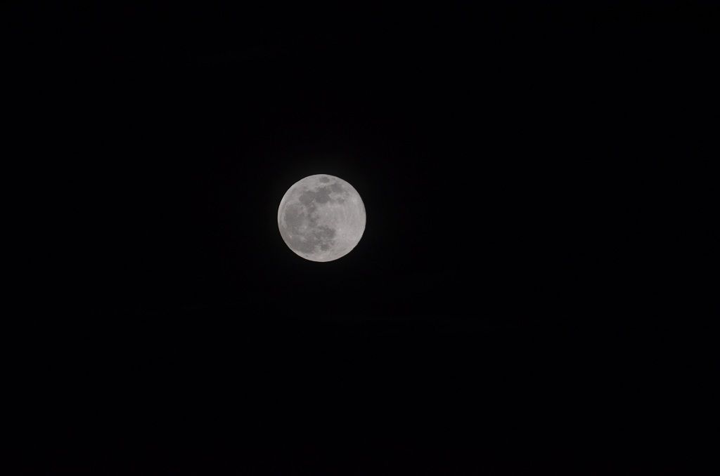 DSC_3533.JPG