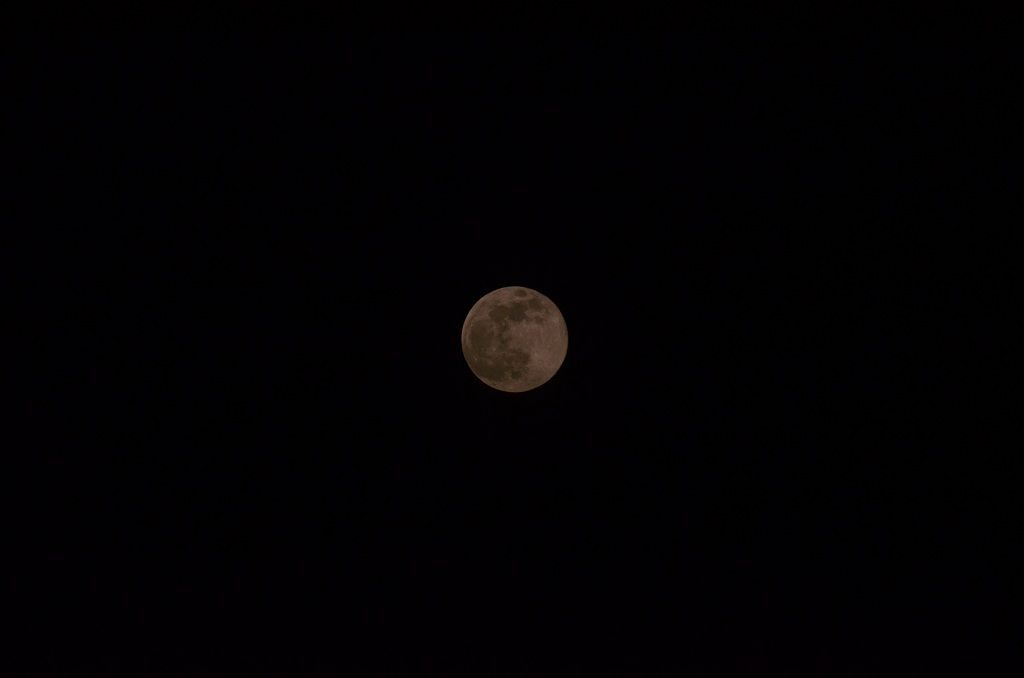 DSC_3547.JPG