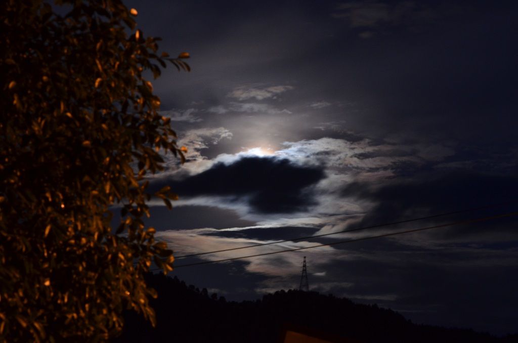 DSC_3562.JPG
