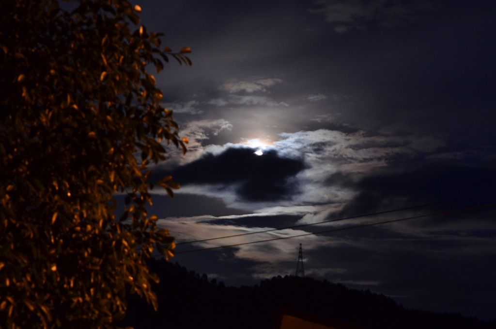 DSC_3563.JPG