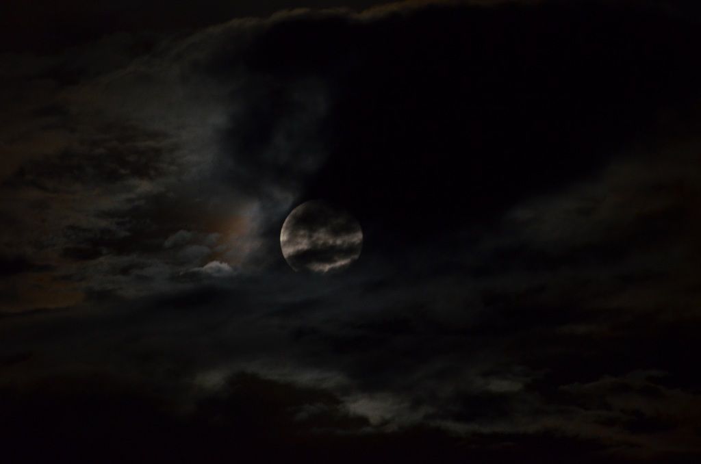DSC_3570.JPG