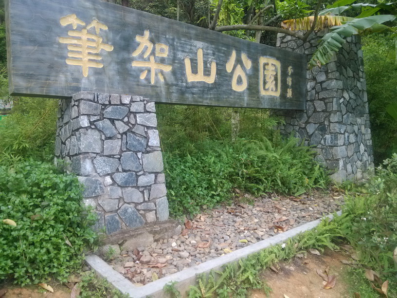 IMG_20130622_180105.JPG
