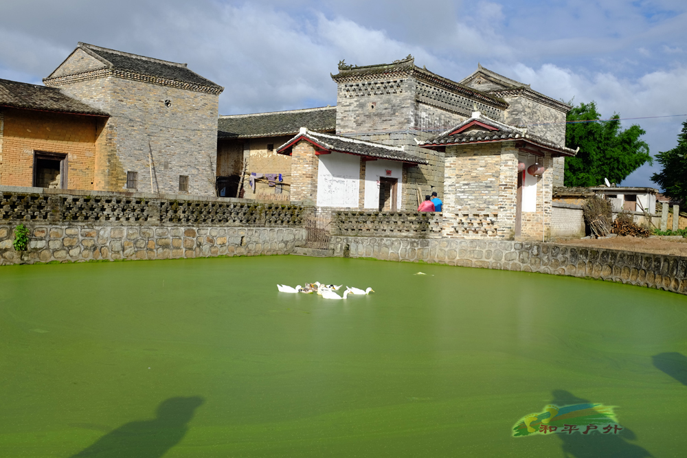 DSCF5956.jpg