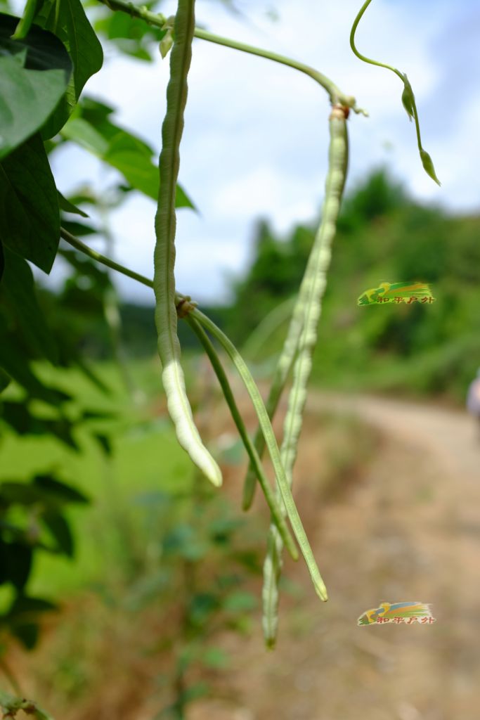 DSCF5723.jpg