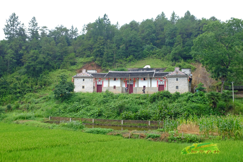 DSCF5769.jpg