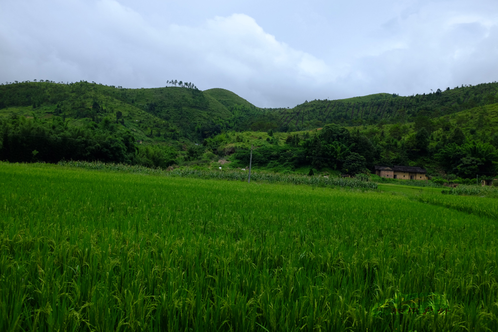 DSCF5832.jpg