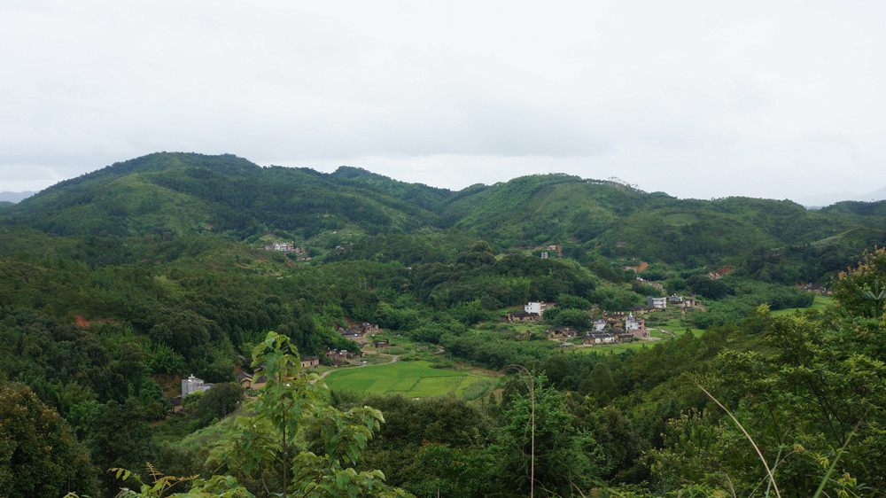 DSC03786.jpg