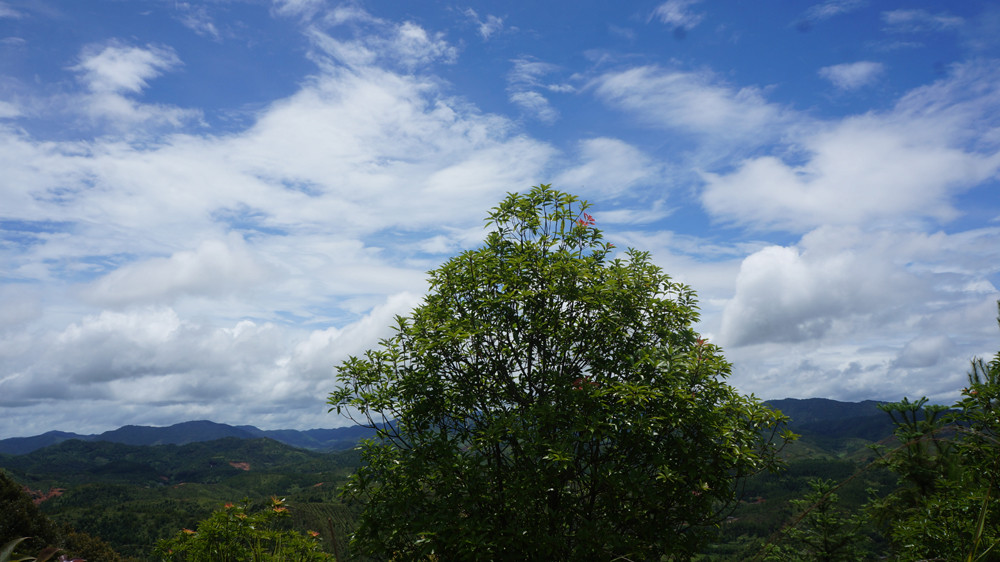 DSC03803.jpg