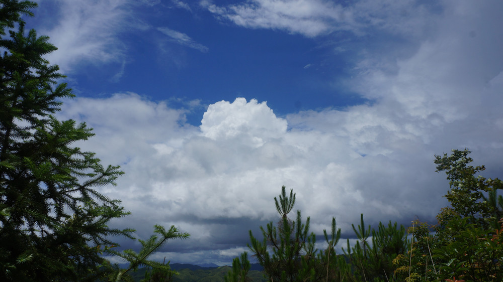 DSC03804.jpg