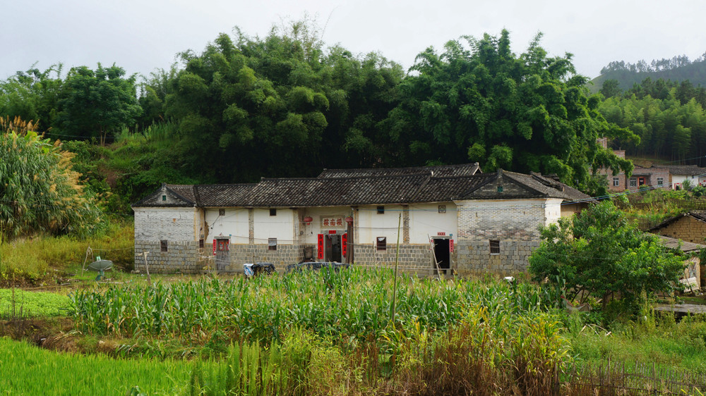DSC04024.jpg