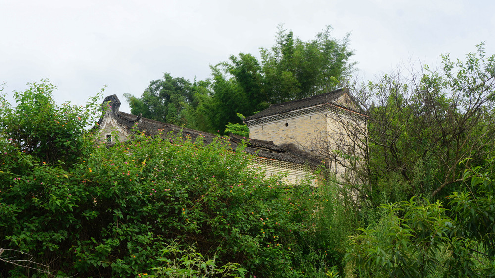 DSC04020.jpg