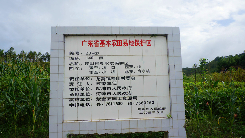 DSC04021.jpg