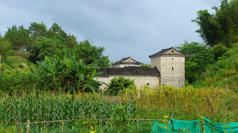 DSC04022.jpg