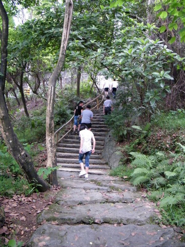 DSCF3308.JPG